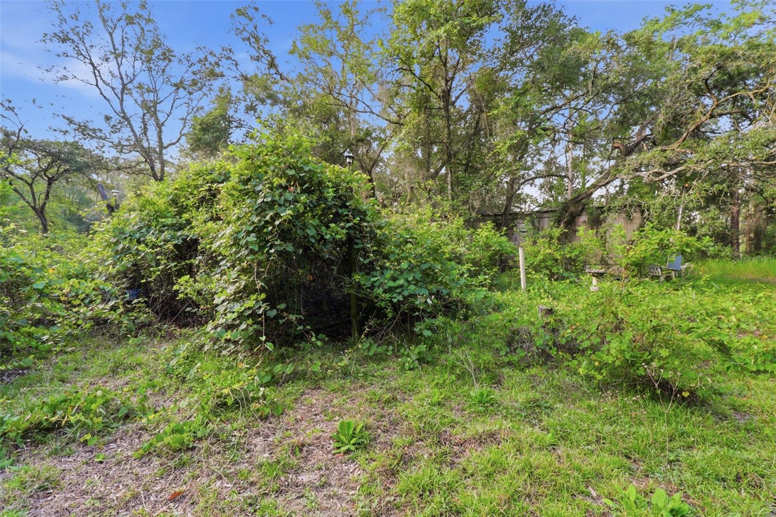 6360 ARIZONA ST, BROOKSVILLE, FL — photo 19