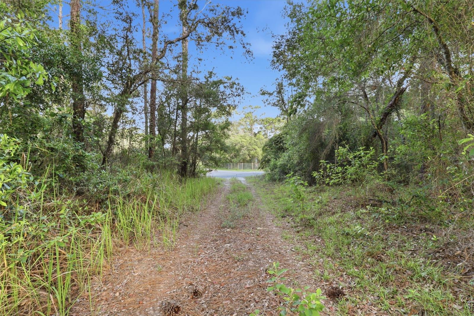 6360 ARIZONA ST, BROOKSVILLE, FL — photo 25