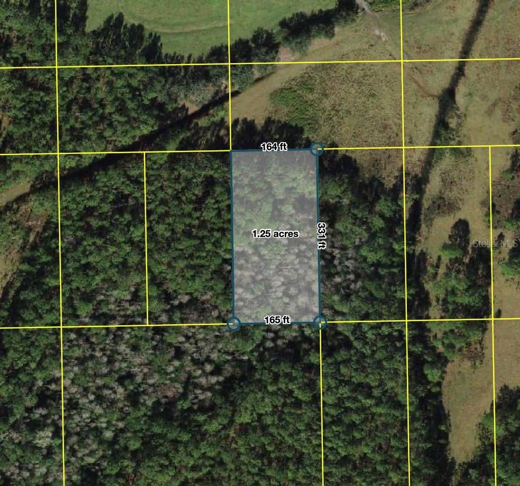 POLK CITY, POLK CITY, FL — photo 2