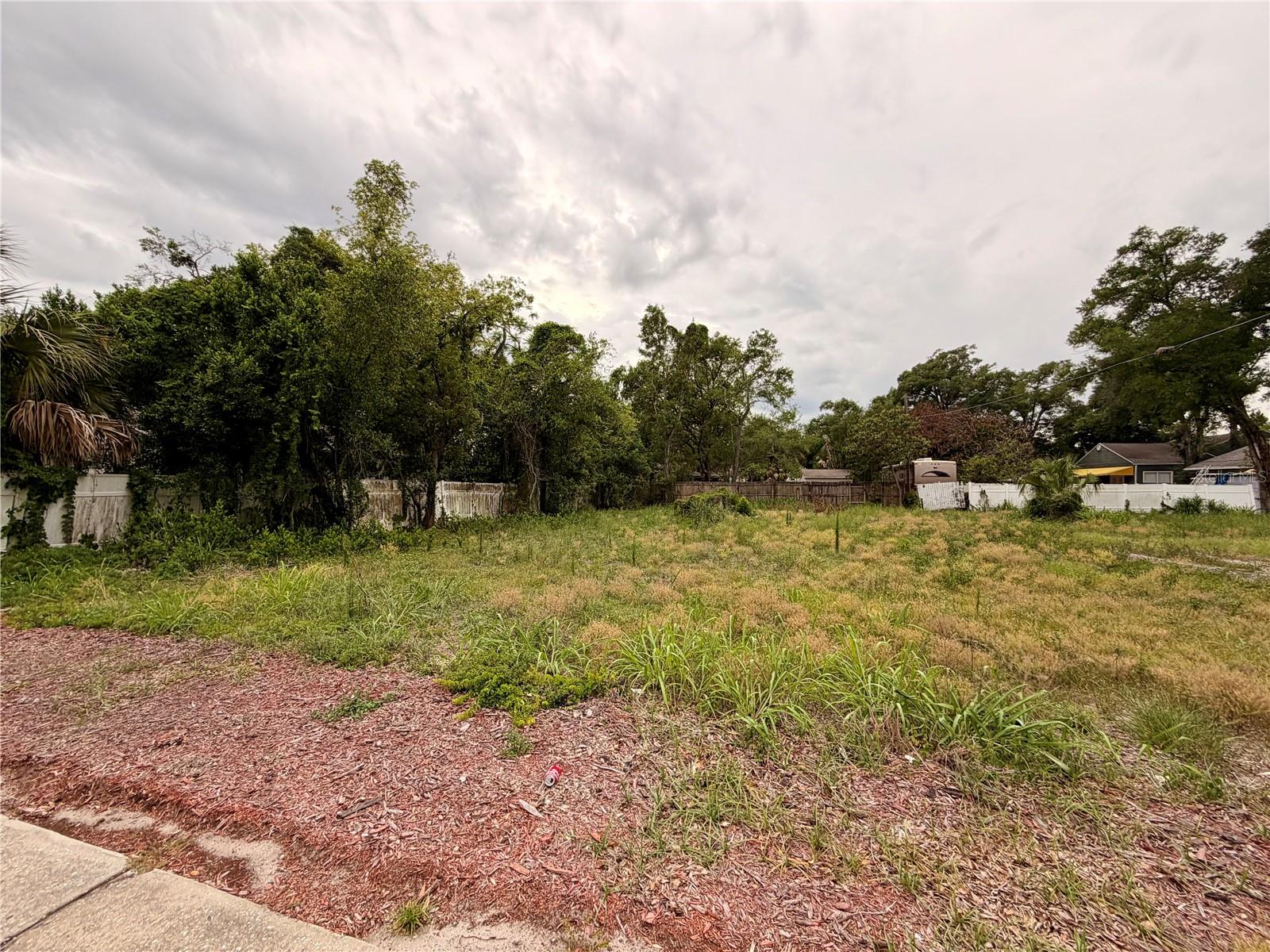 3206 N TAMPA ST, TAMPA, FL — photo 3