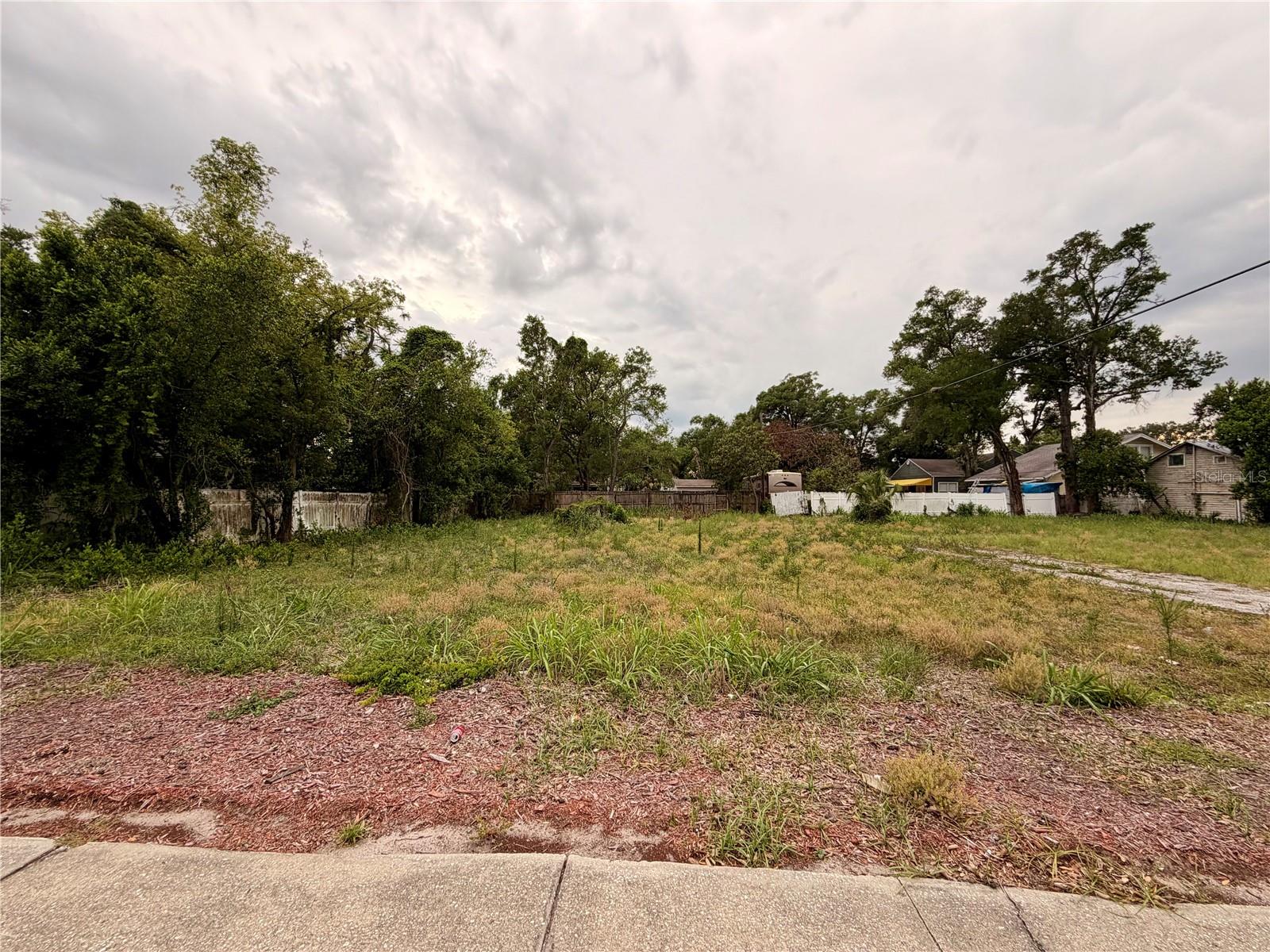 3206 N TAMPA ST, TAMPA, FL — photo 4