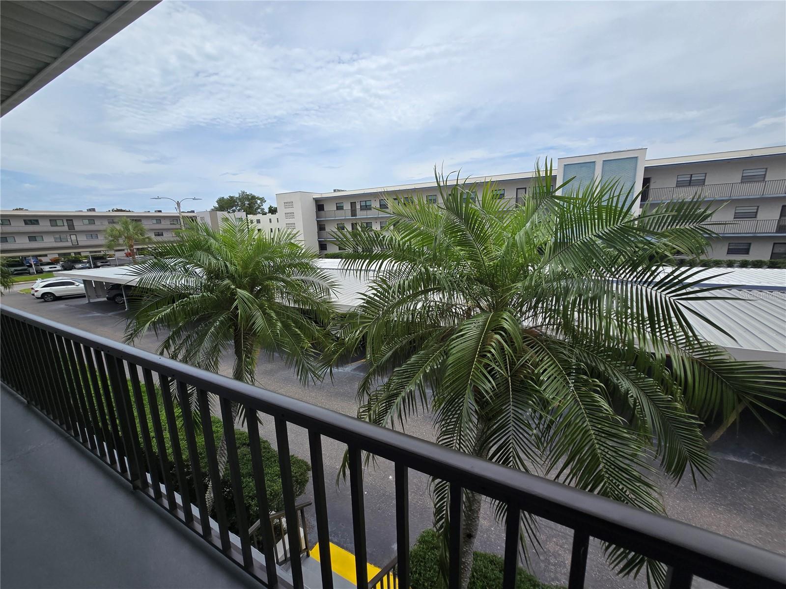 5967 TERRACE PARK DR N #206, ST PETERSBURG, FL — photo 5