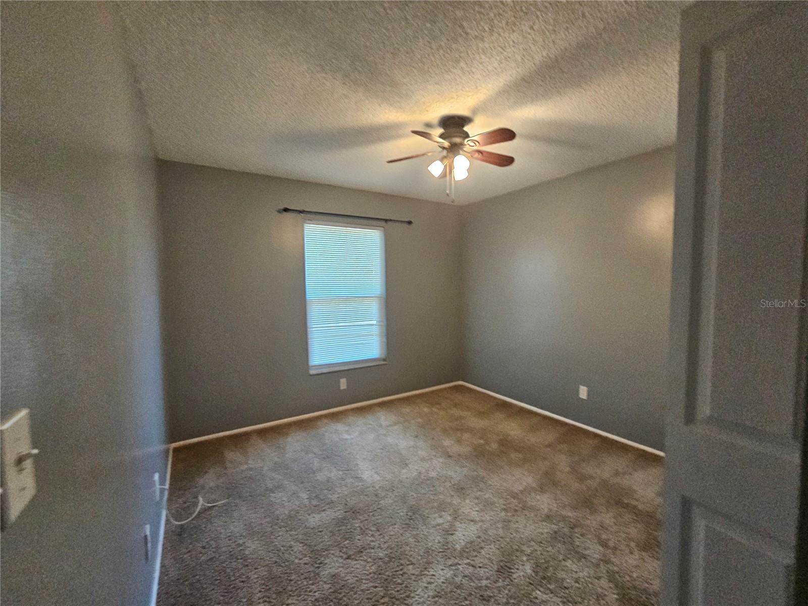 2699 MACKLIN CT, PALM HARBOR, FL — photo 9