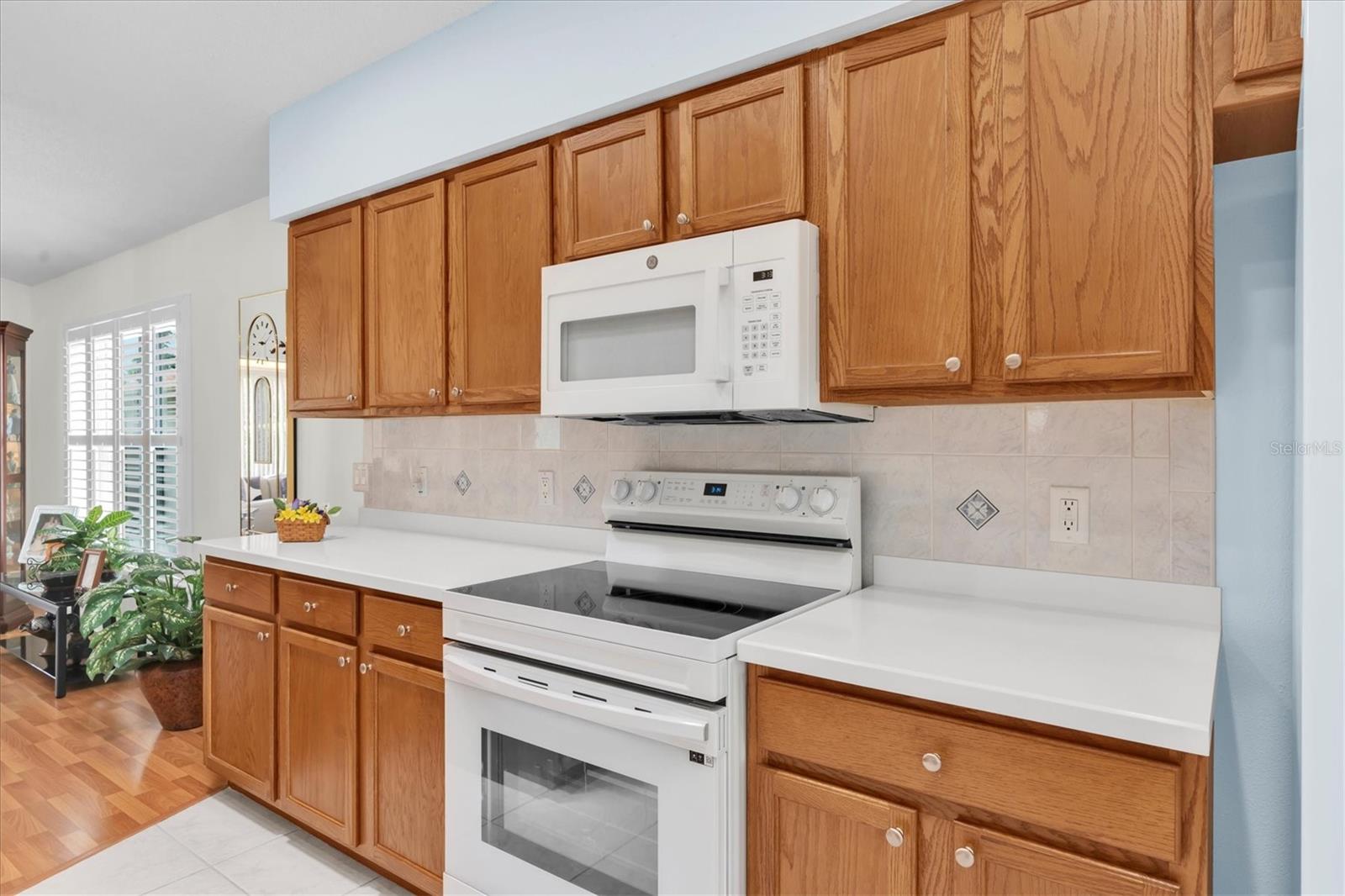 11250 HOLLANDER AVE, HUDSON, FL — photo 14