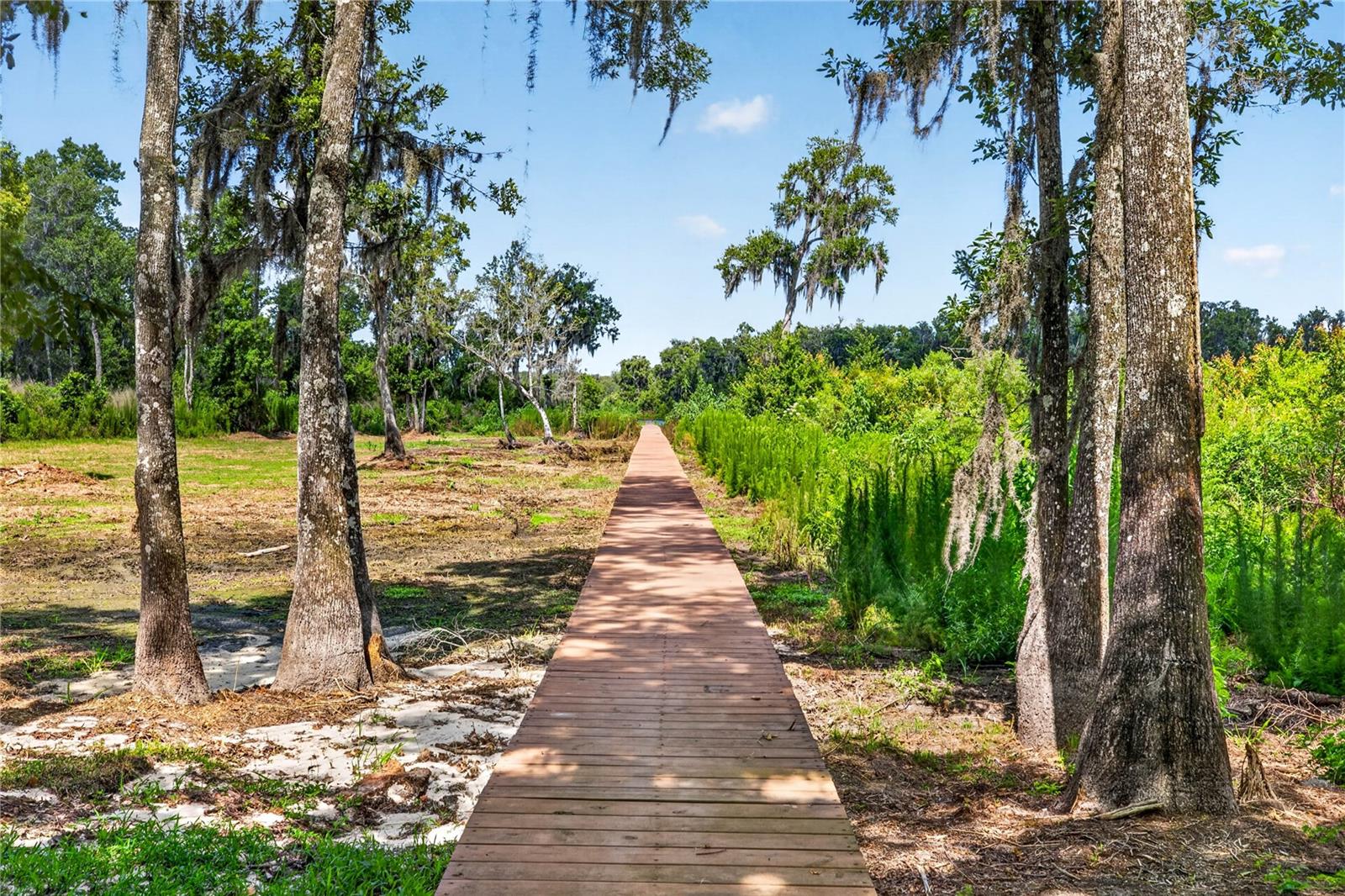 17265 MEADOW BLUFF VW, DADE CITY, FL — photo 10
