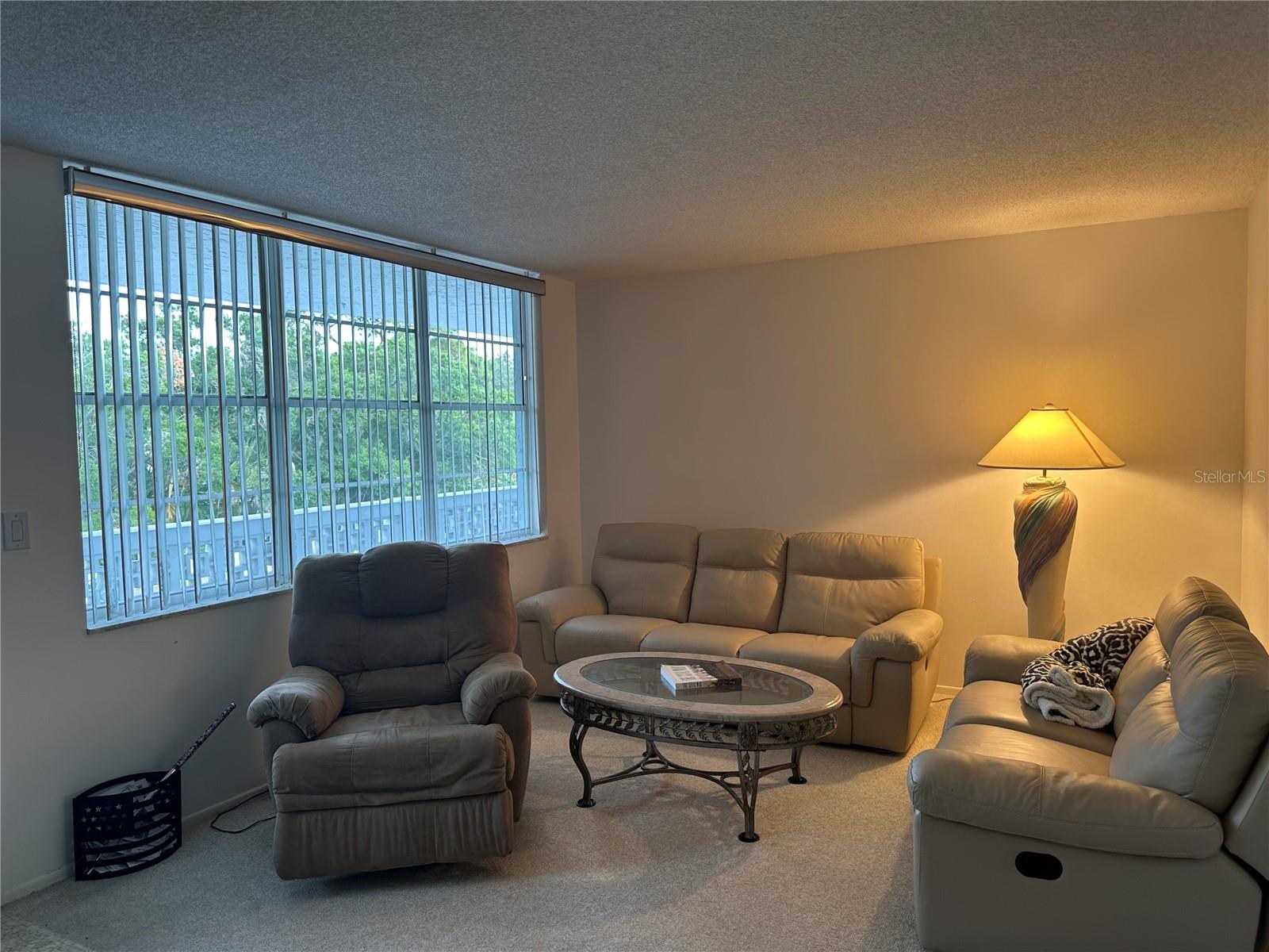 4720 LOCUST ST NE #314, ST PETERSBURG, FL — photo 2