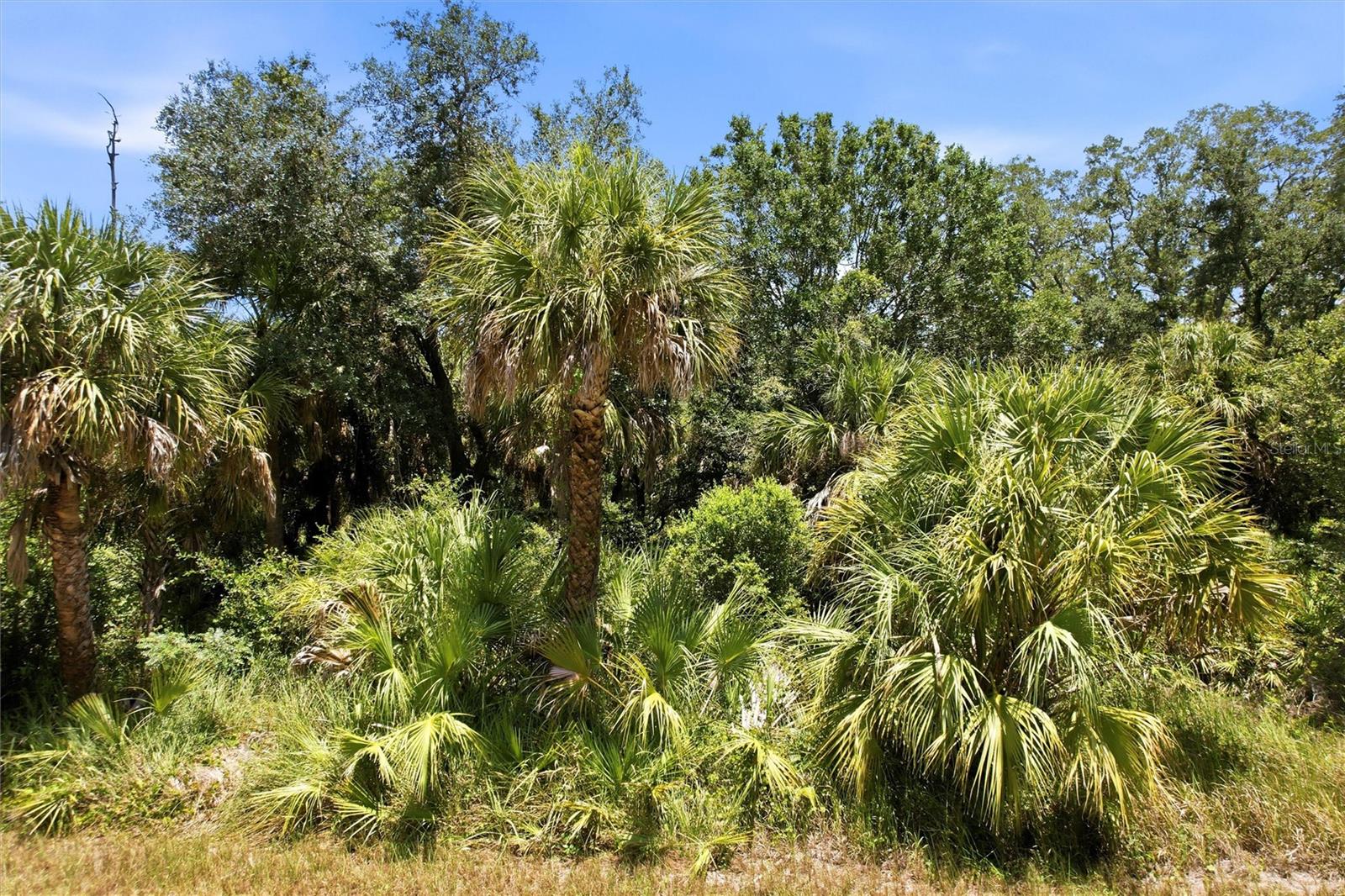 18426 SAGAMORE AVE, PORT CHARLOTTE, FL — photo 2