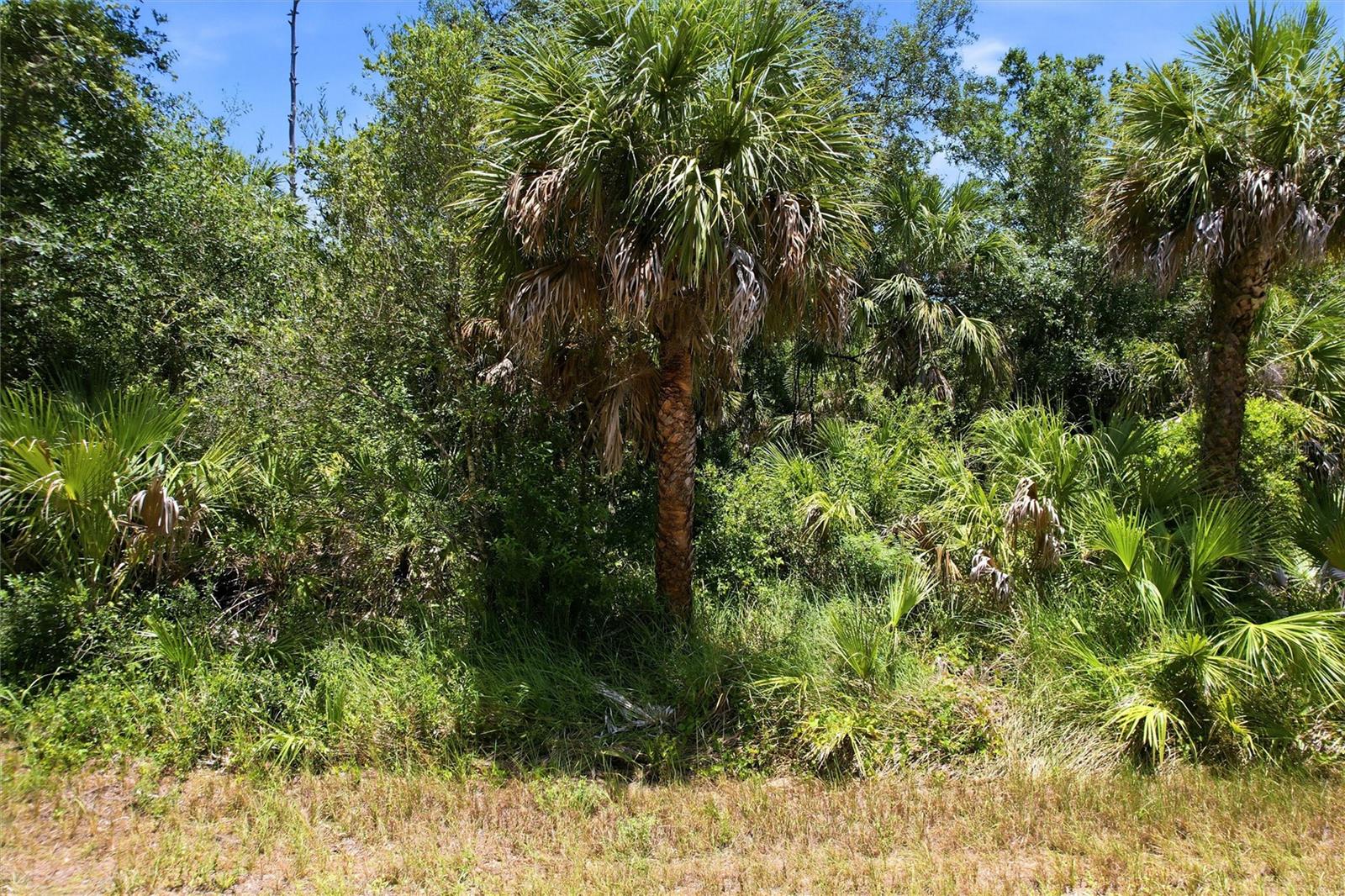 18426 SAGAMORE AVE, PORT CHARLOTTE, FL — photo 13