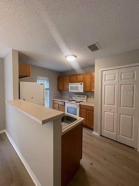 4617 ASHBURN SQUARE DR, TAMPA, FL — photo 7