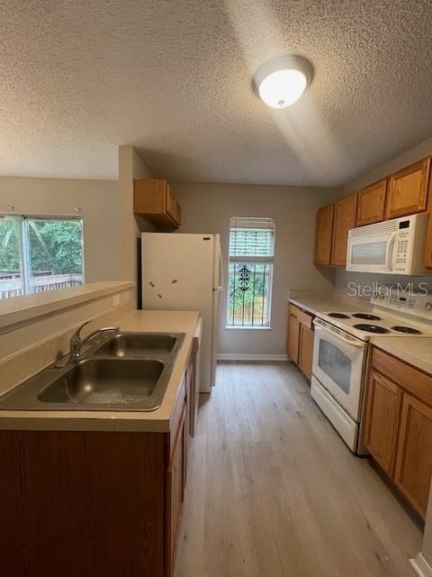 4617 ASHBURN SQUARE DR, TAMPA, FL — photo 8