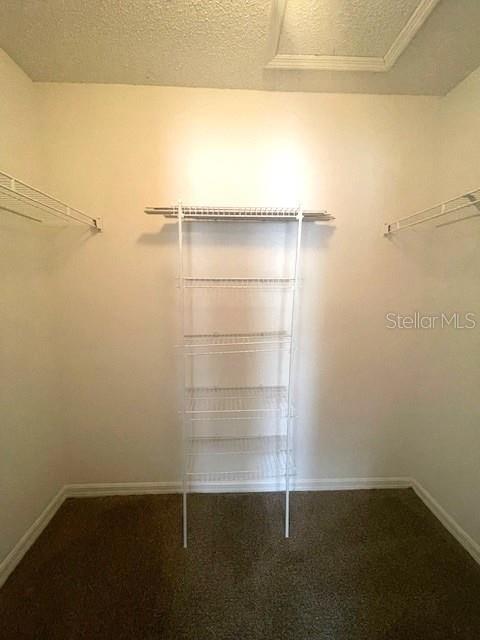 4617 ASHBURN SQUARE DR, TAMPA, FL — photo 14
