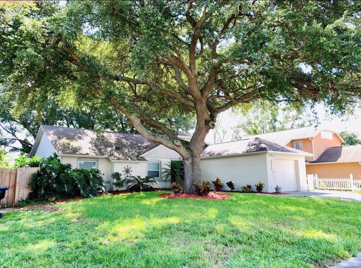 7333 RADIANT CIR, ORLANDO, FL — photo 3