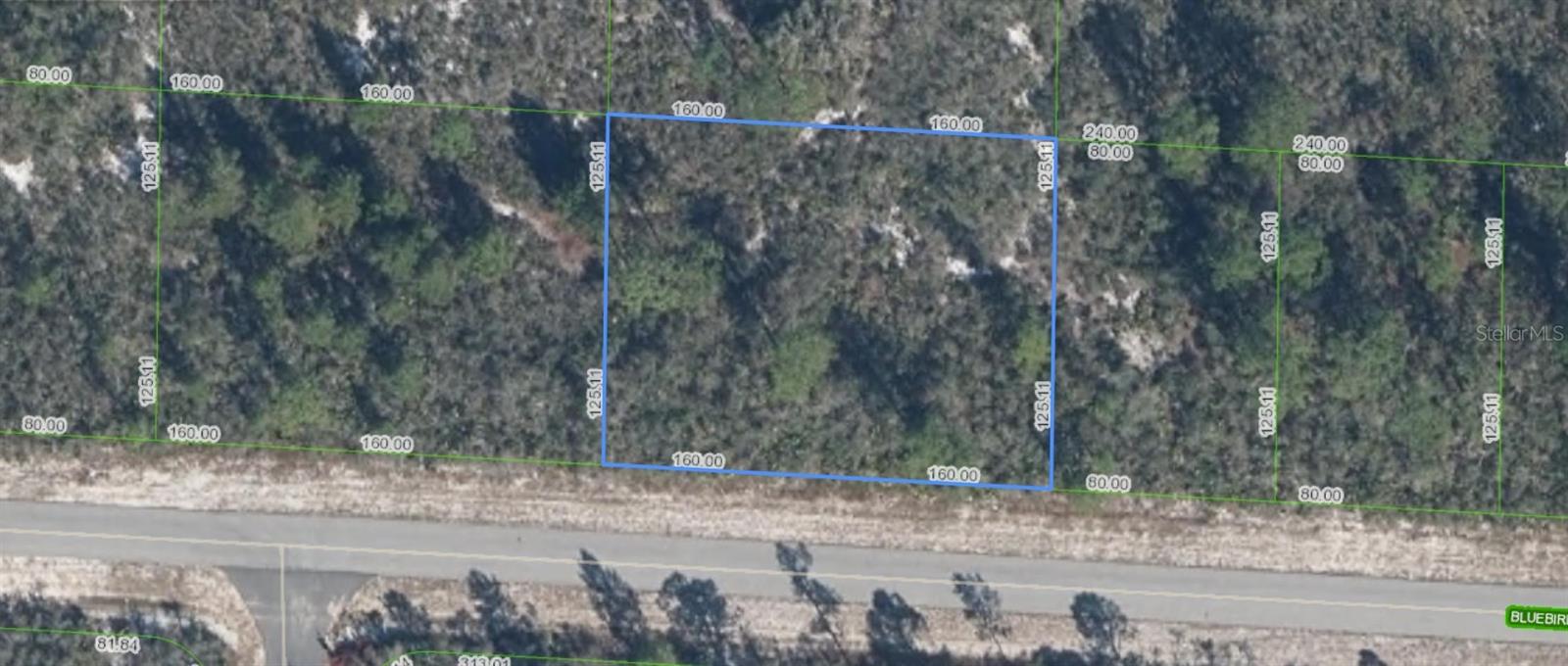 3427 BLUEBIRD AVE, LAKE PLACID, FL