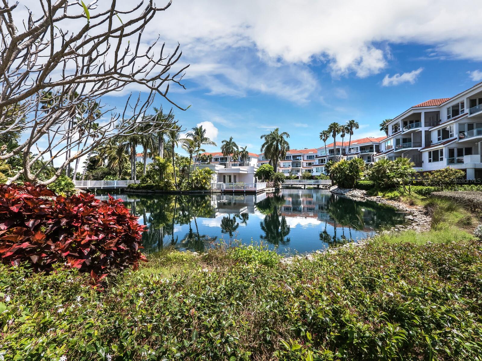 350 GULF OF MEXICO DR #213, LONGBOAT KEY, FL — photo 50