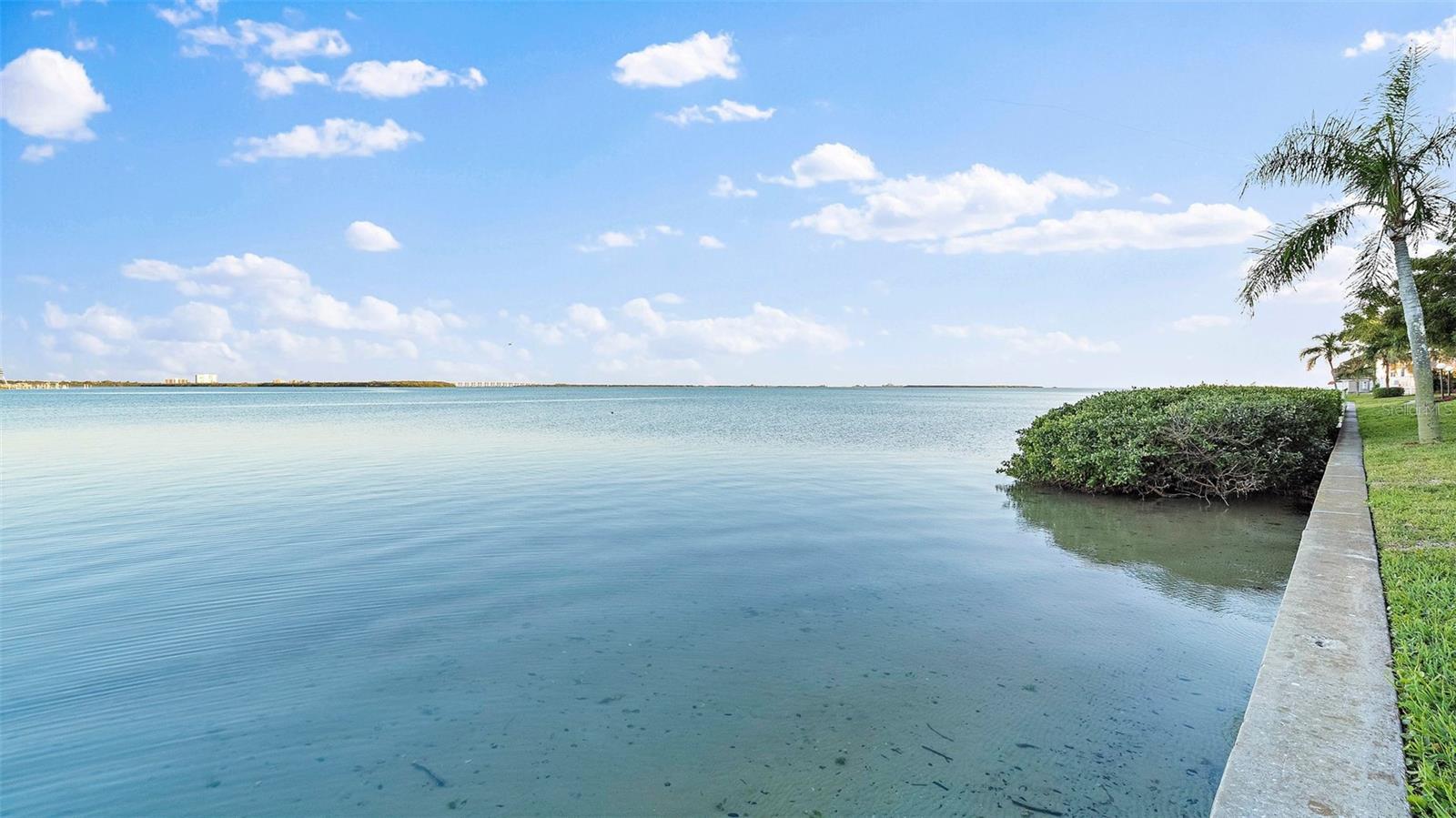 6372 PALMA DEL MAR BLVD S #207, ST PETERSBURG, FL — photo 47
