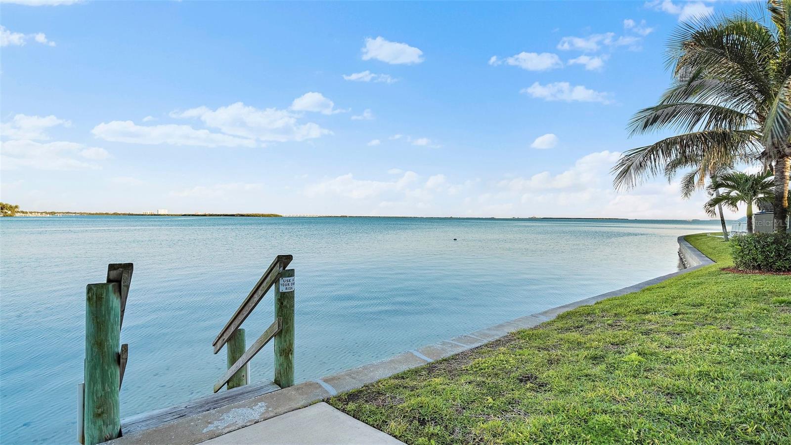 6372 PALMA DEL MAR BLVD S #207, ST PETERSBURG, FL — photo 54