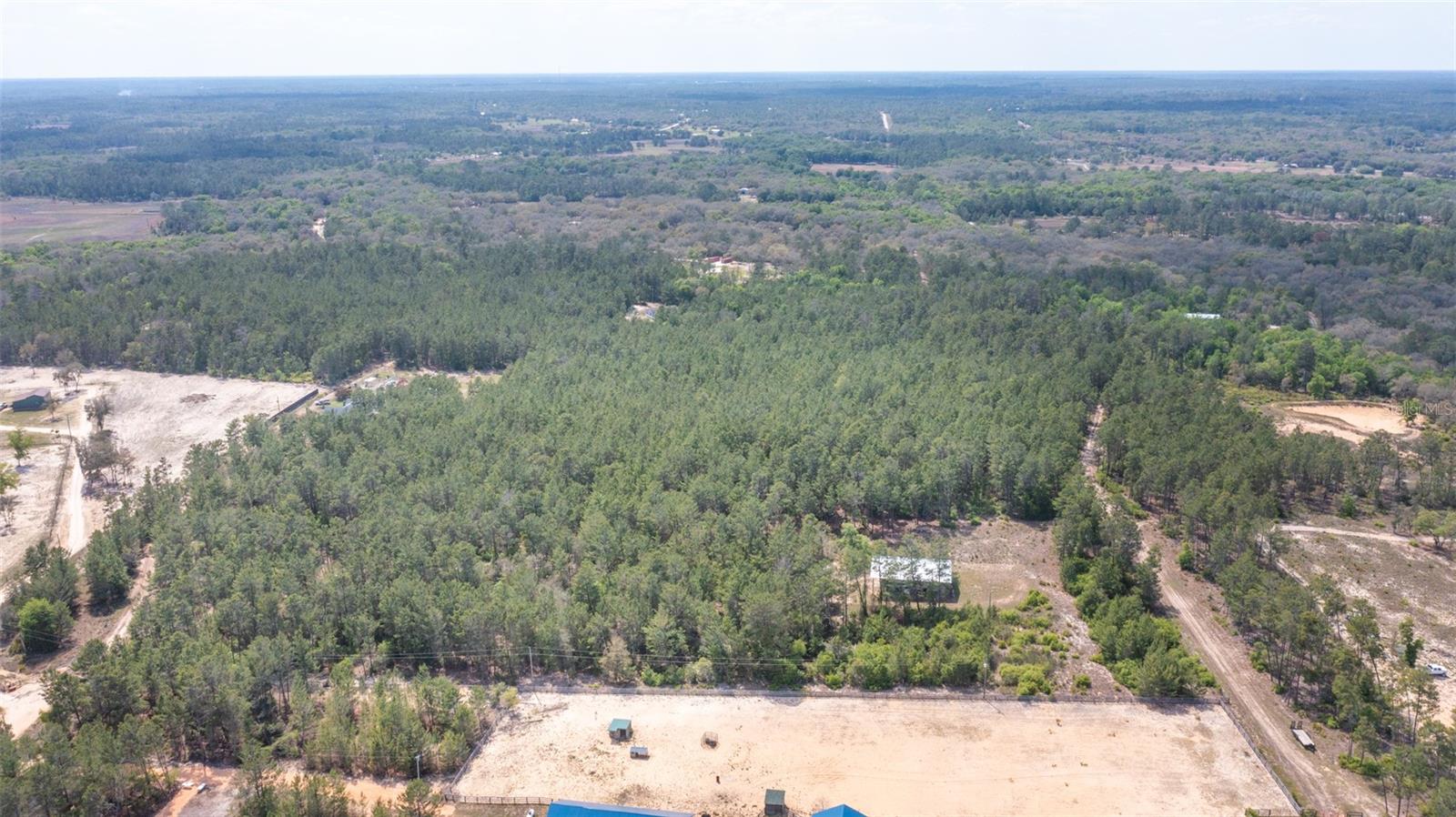 5276 ORGANIC. (POLE BARN) RD, MELROSE, FL — photo 2