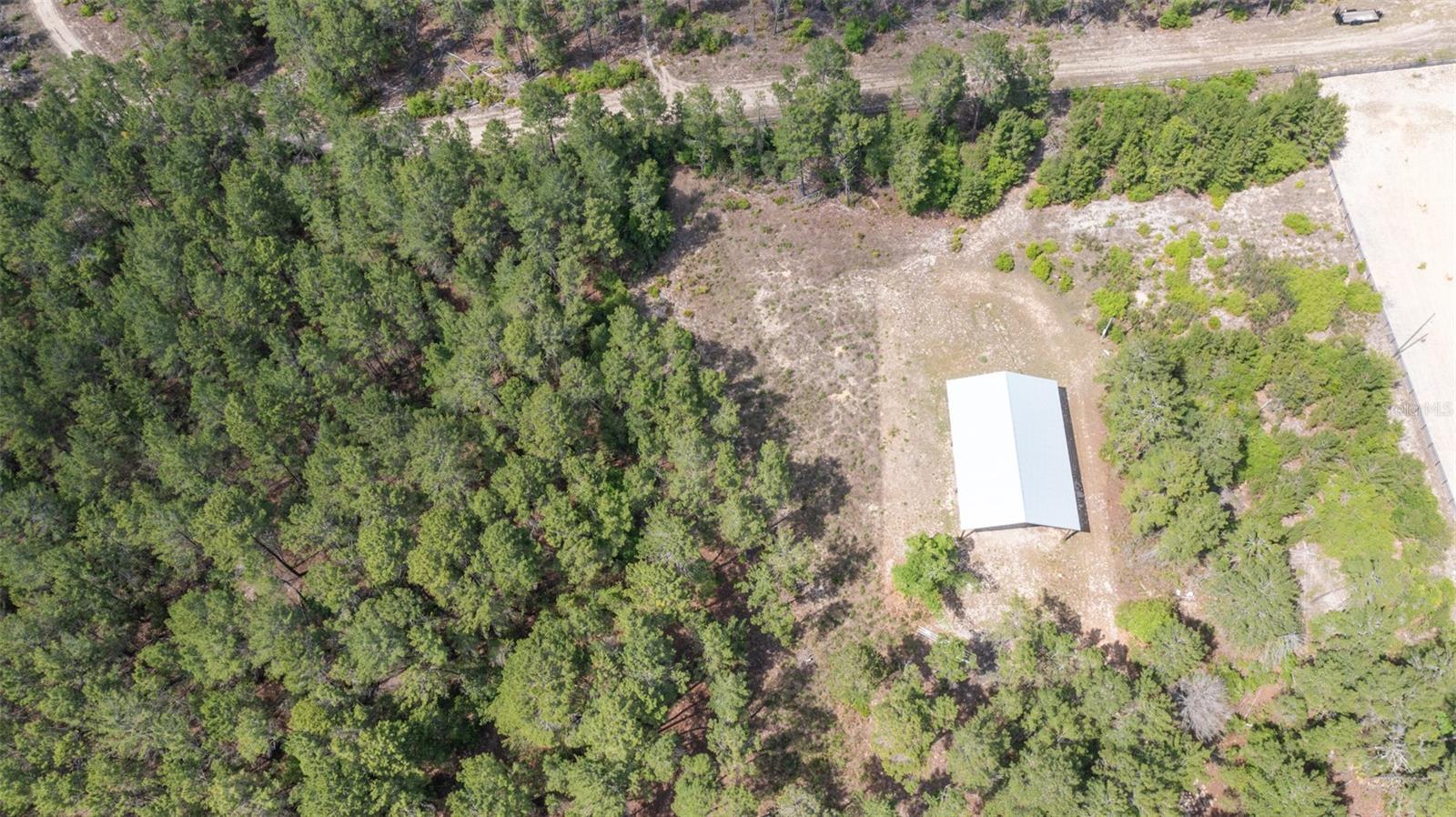 5276 ORGANIC. (POLE BARN) RD, MELROSE, FL — photo 6