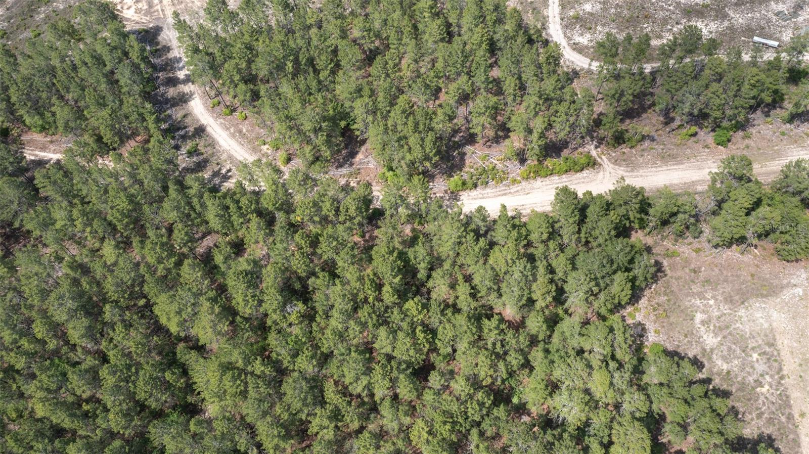 5276 ORGANIC. (POLE BARN) RD, MELROSE, FL — photo 10