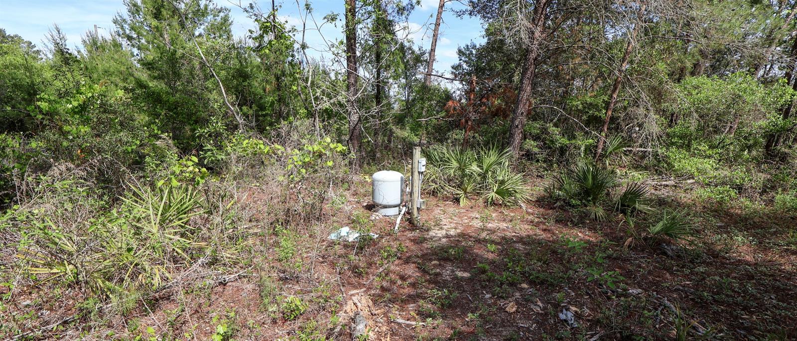 5276 ORGANIC. (POLE BARN) RD, MELROSE, FL — photo 11