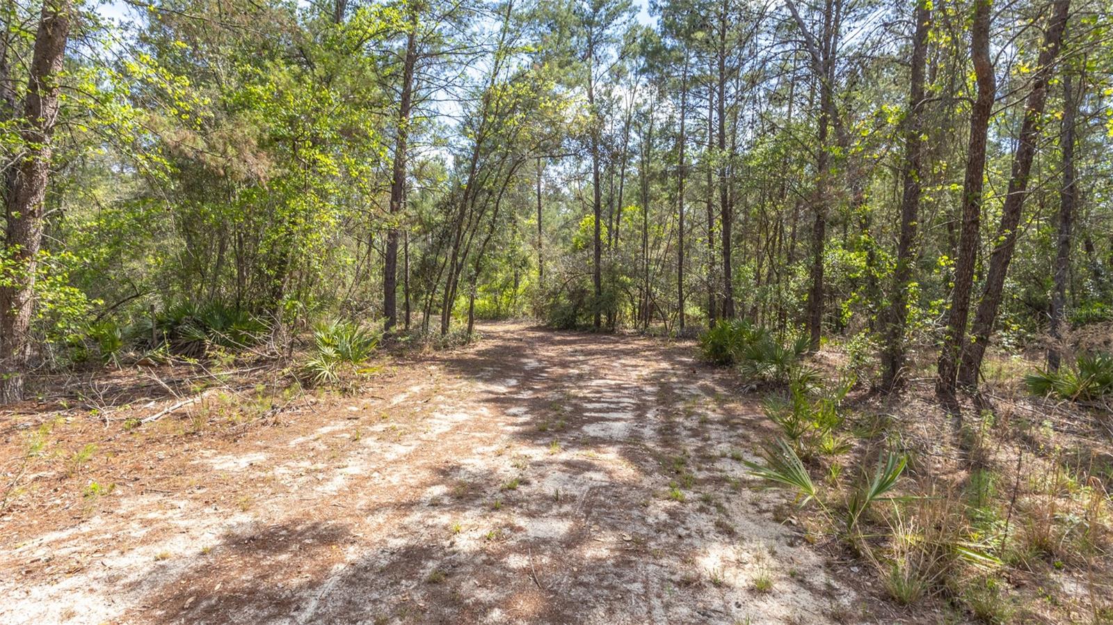 5276 ORGANIC. (POLE BARN) RD, MELROSE, FL — photo 19