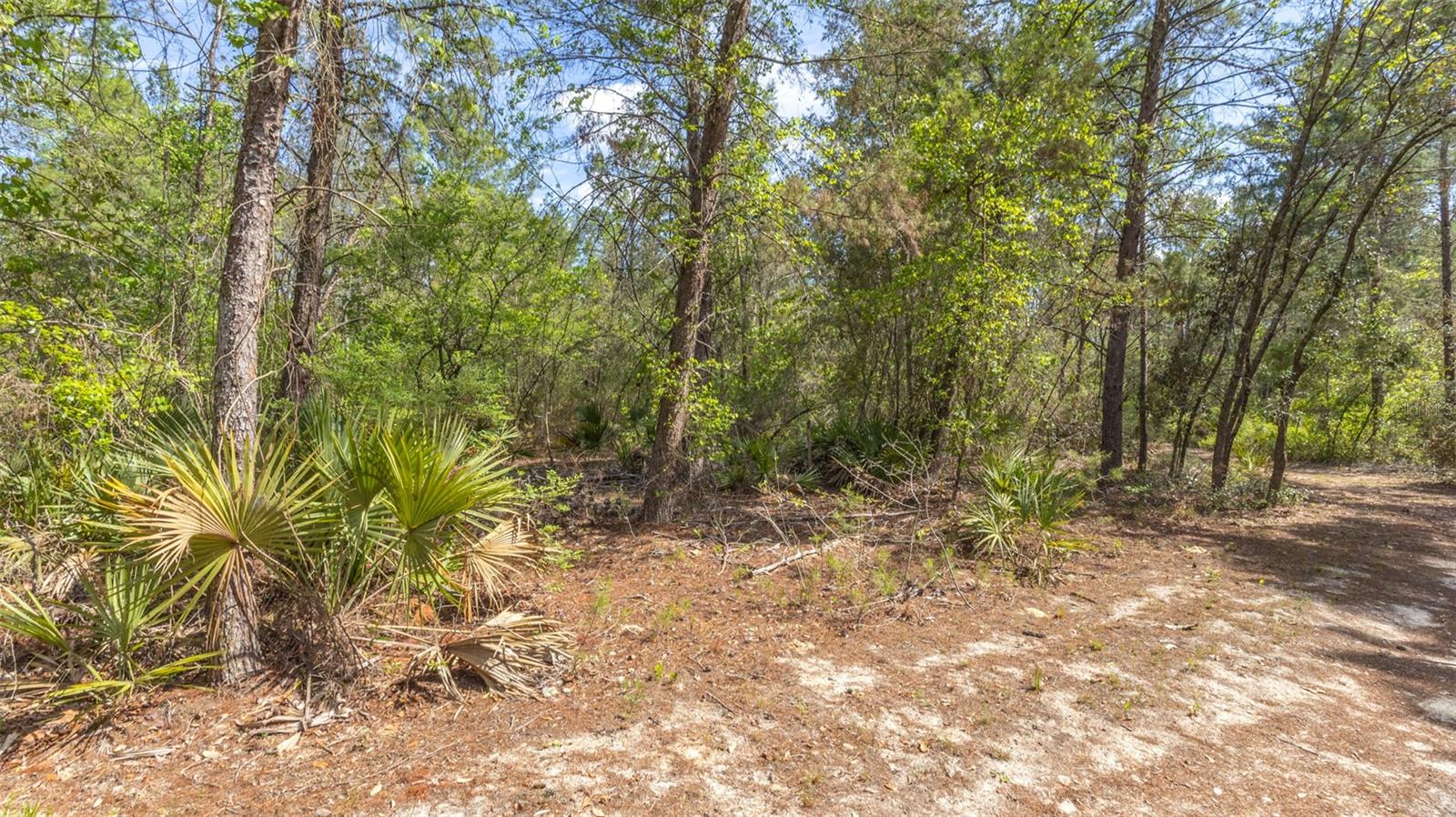 5276 ORGANIC. (POLE BARN) RD, MELROSE, FL — photo 20