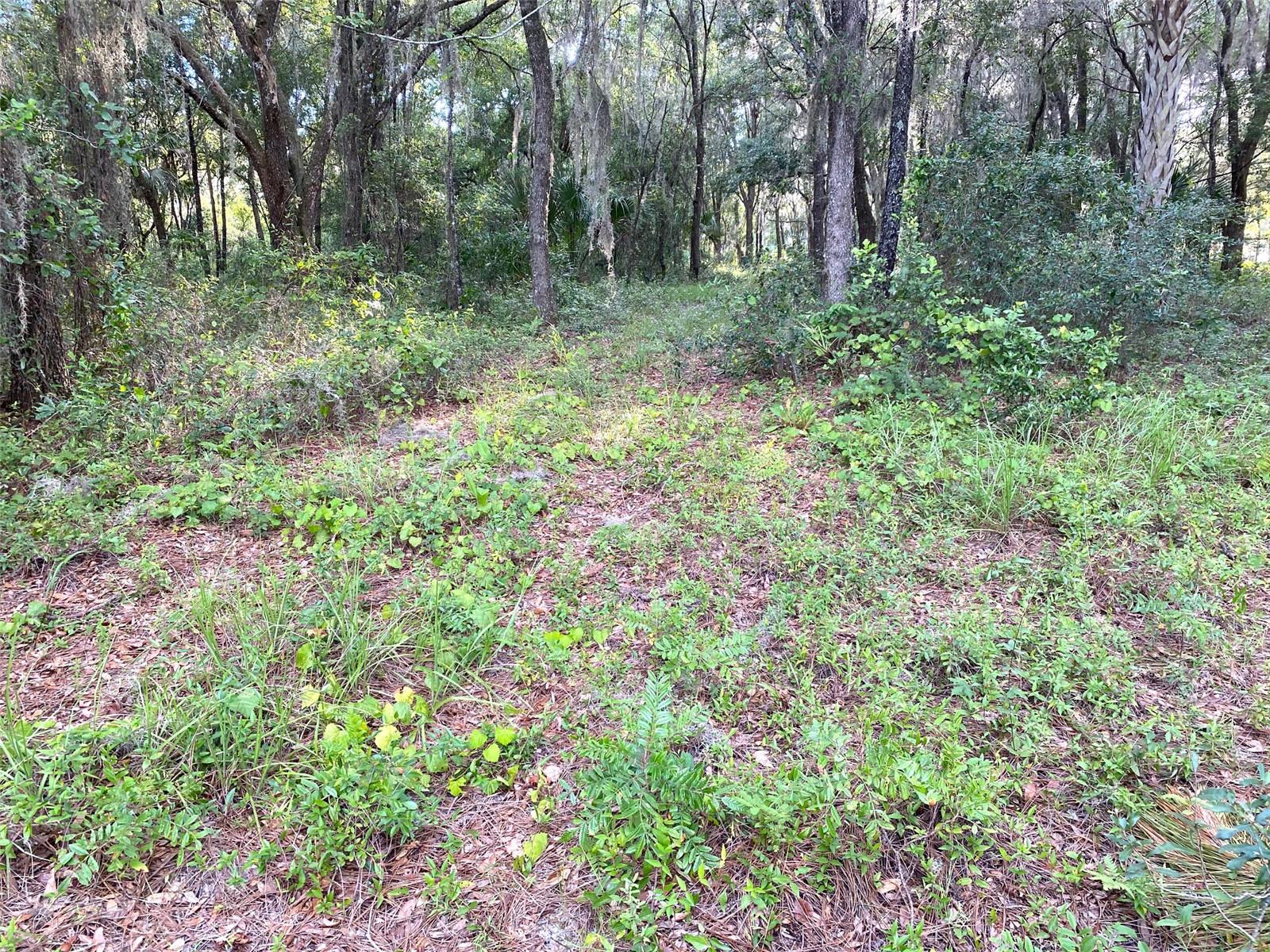 Lots 11.12 SW SHOREWOOD DR, DUNNELLON, FL — photo 9