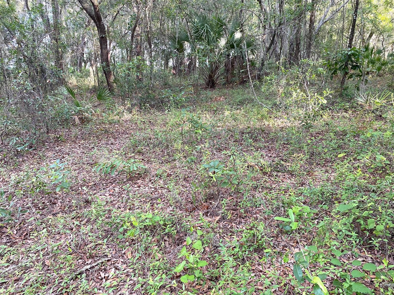 Lots 11.12 SW SHOREWOOD DR, DUNNELLON, FL — photo 11