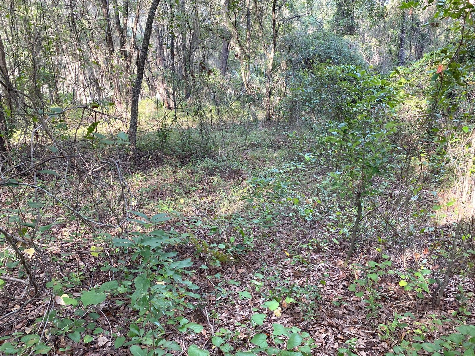 Lots 11.12 SW SHOREWOOD DR, DUNNELLON, FL — photo 12