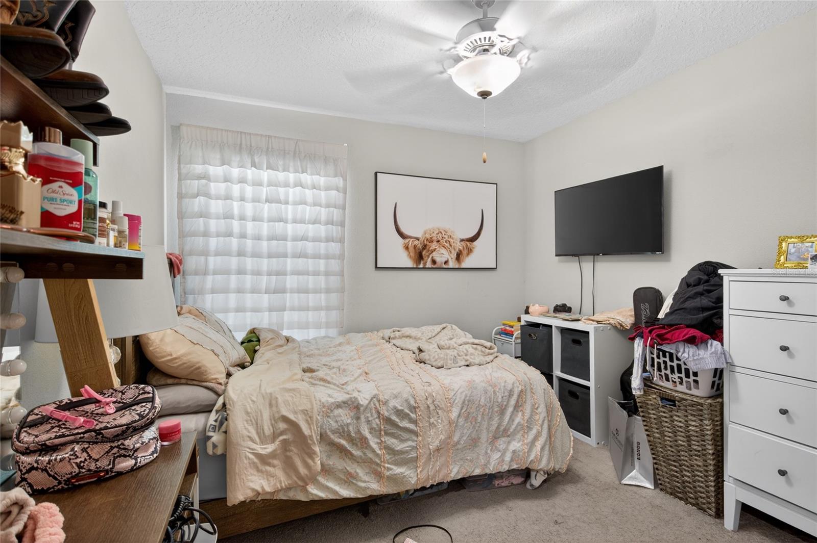 3915 GAINER SPRINGS AVE, NEW PORT RICHEY, FL — photo 16