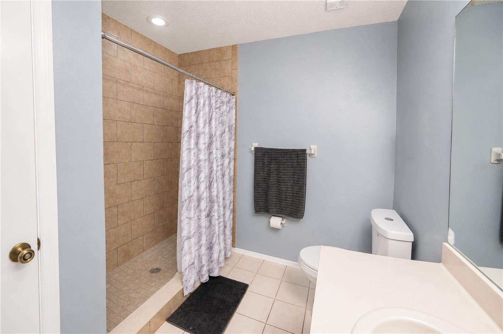 602 SAINT HENRY DR, BRANDON, FL — photo 18
