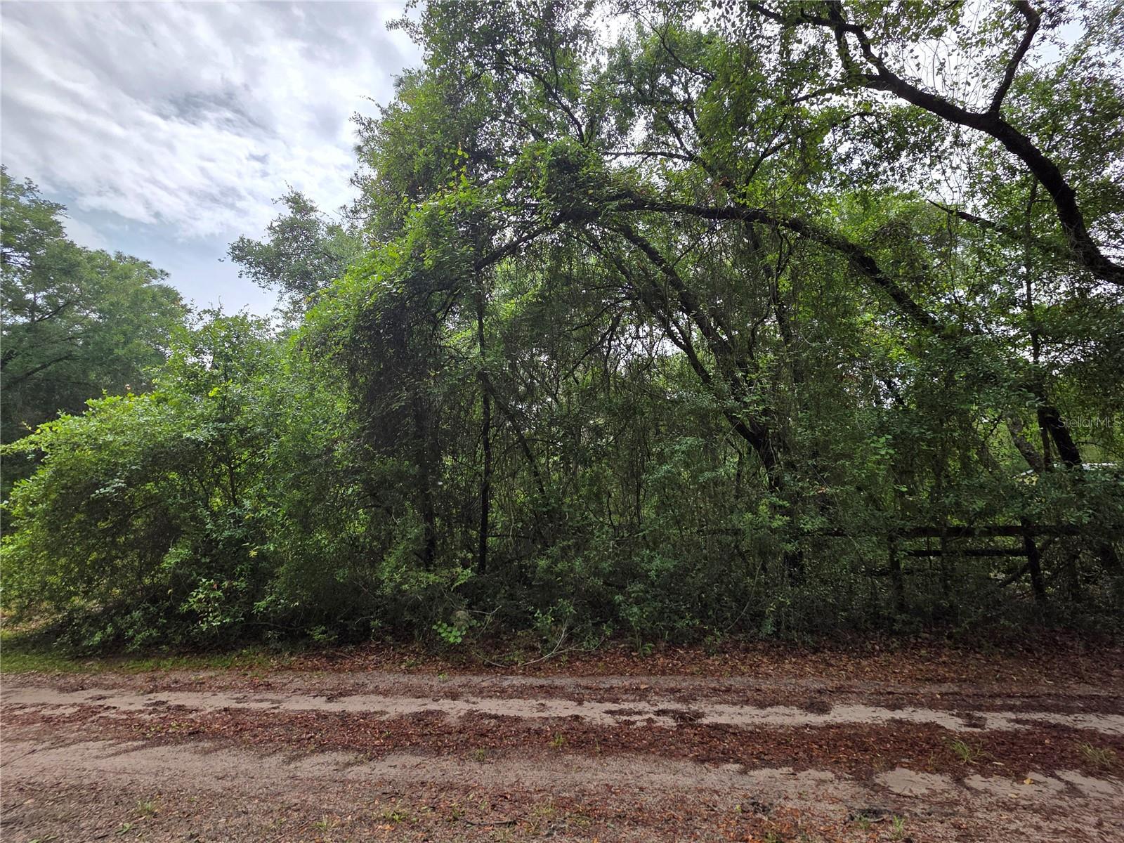 000 NE 138TH TER, FORT MC COY, FL — photo 2