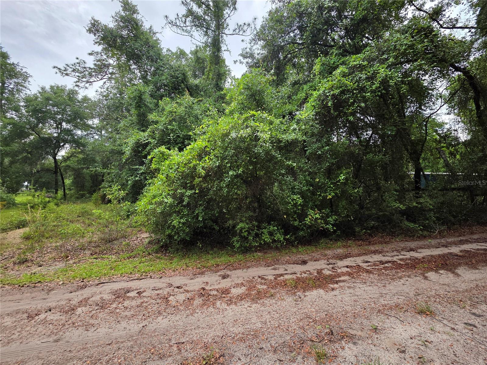 000 NE 138TH TER, FORT MC COY, FL — photo 3