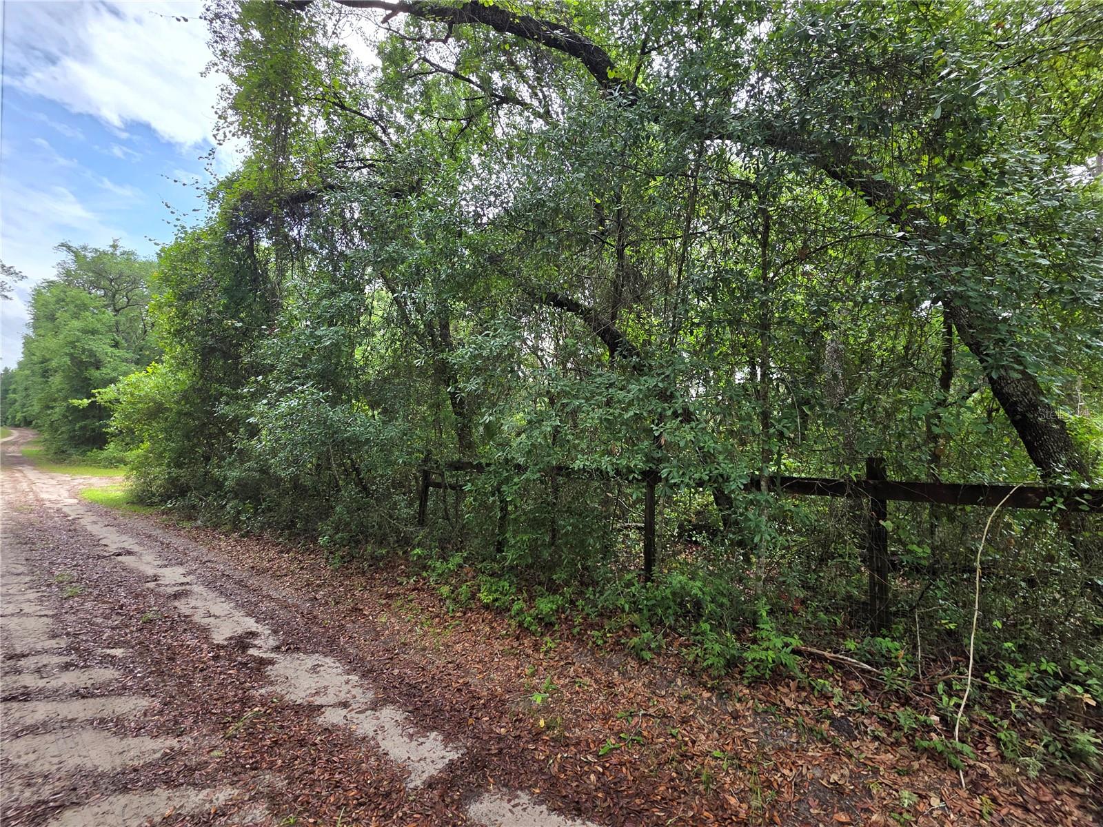 000 NE 138TH TER, FORT MC COY, FL — photo 4