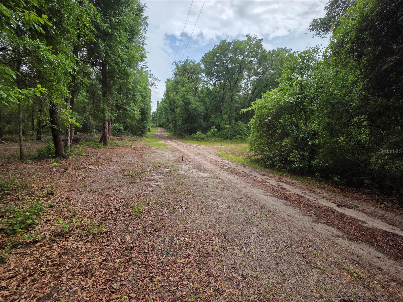 000 NE 138TH TER, FORT MC COY, FL — photo 5
