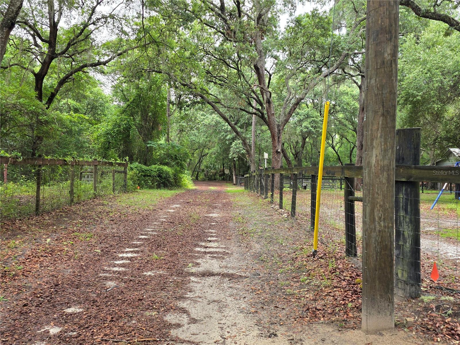 000 NE 138TH TER, FORT MC COY, FL — photo 6