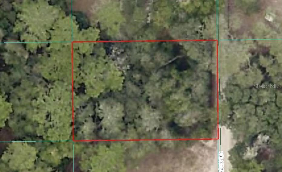 000 NE 138TH TER, FORT MC COY, FL — photo 7