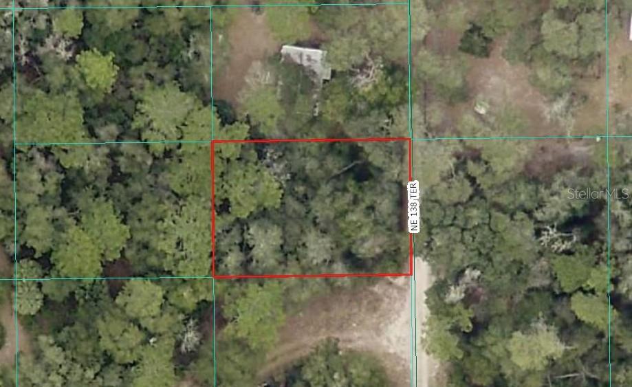 000 NE 138TH TER, FORT MC COY, FL — photo 8
