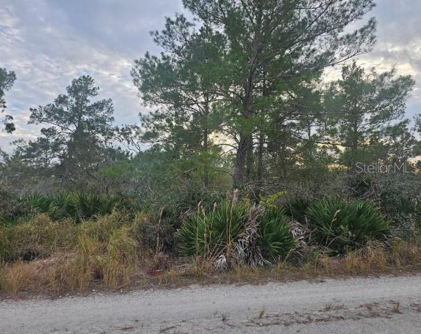 2225 ALGONQUIN DR, SEBRING, FL