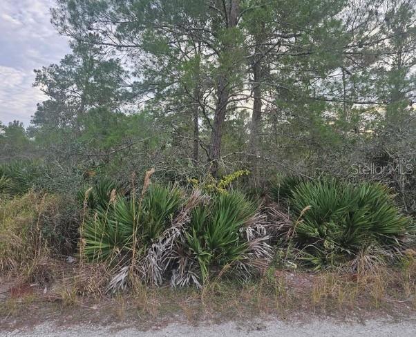 2225 ALGONQUIN DR, SEBRING, FL — photo 4