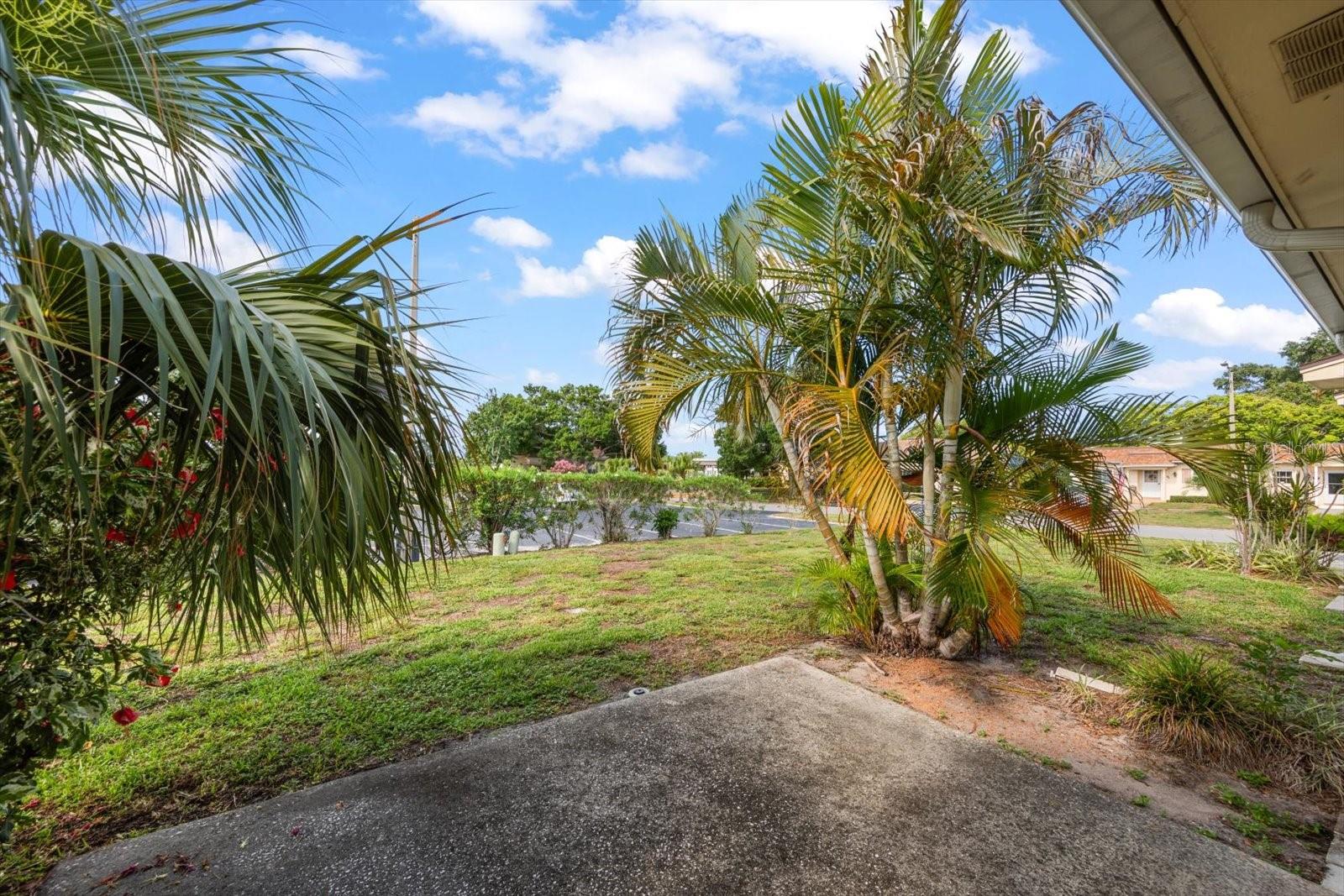 1668 S LAKE AVE #2, CLEARWATER, FL — photo 20