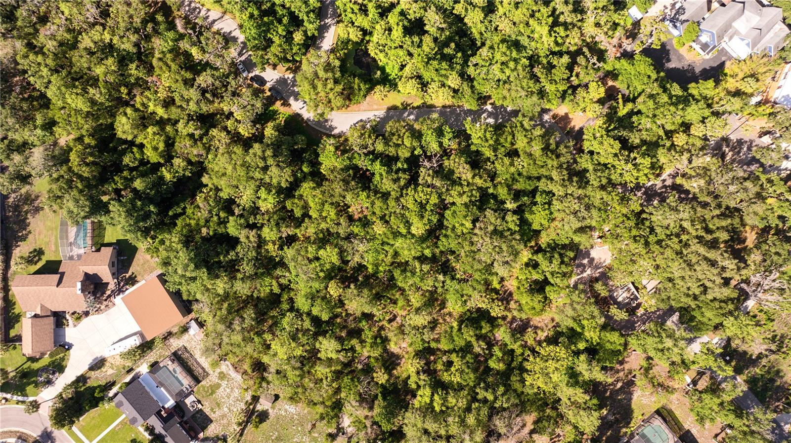 4710 RAMBLING RIVER RD, BRANDON, FL — photo 3