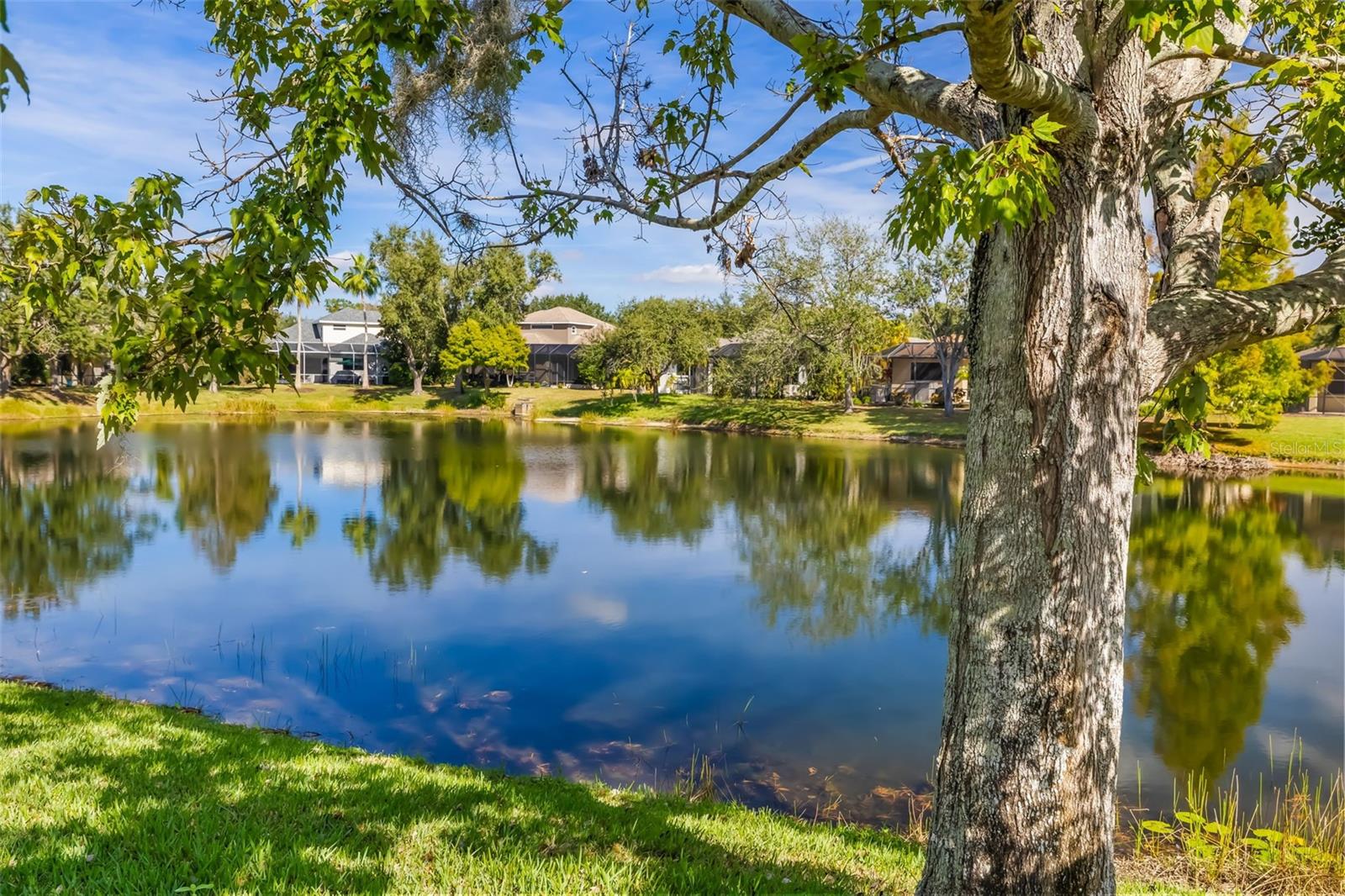 6215 WARBLER LN, LAKEWOOD RANCH, FL — photo 65