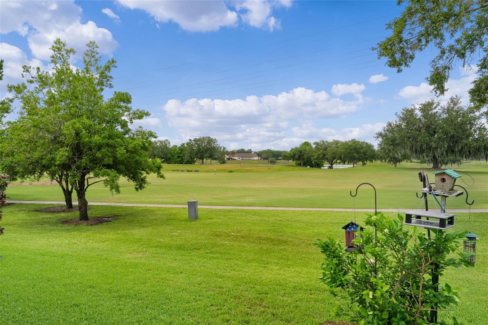 16840 SE 85TH SAPELO CT, THE VILLAGES, FL — photo 6