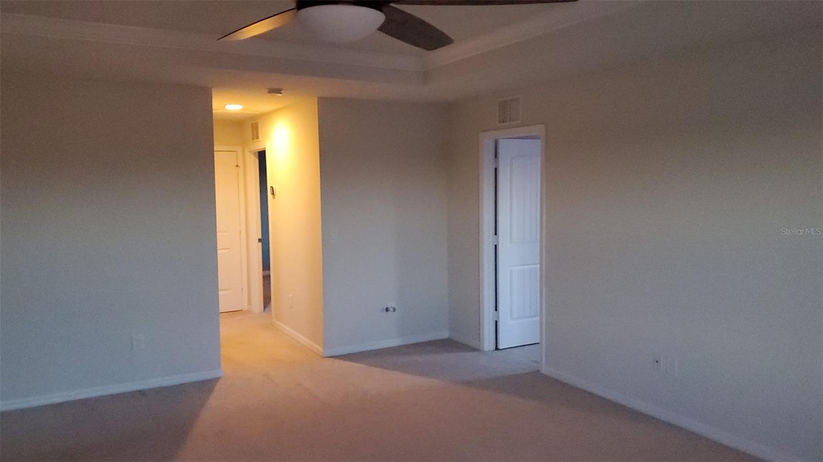 9215 MOUNTAIN MAGNOLIA DR, RIVERVIEW, FL — photo 30