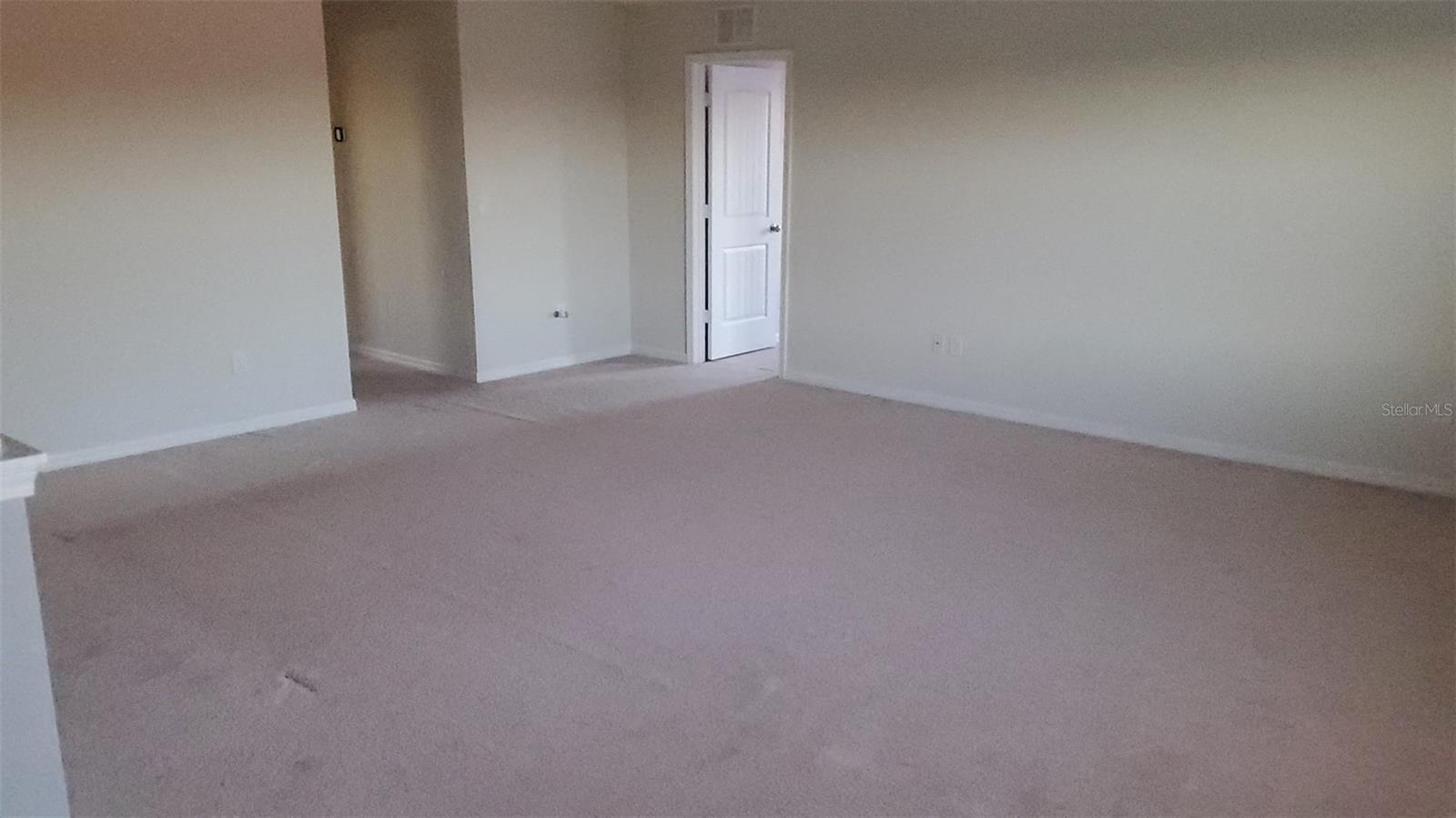 9215 MOUNTAIN MAGNOLIA DR, RIVERVIEW, FL — photo 32