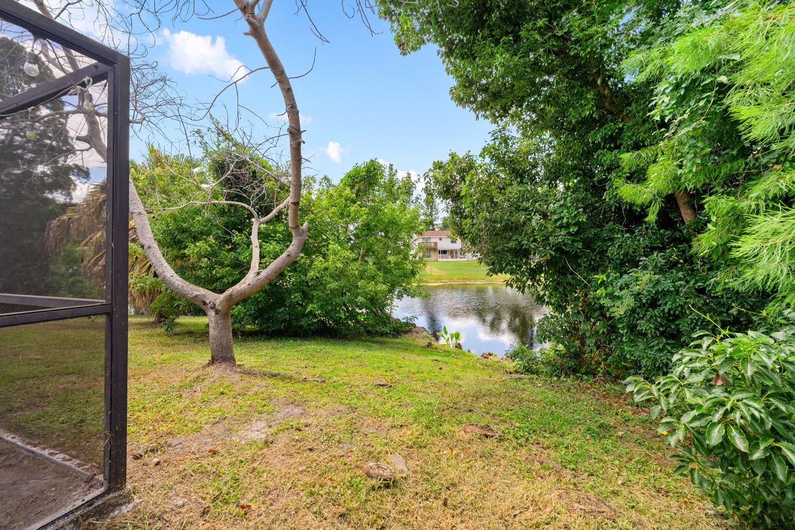 6415 MONTEREY BLVD, TAMPA, FL — photo 12