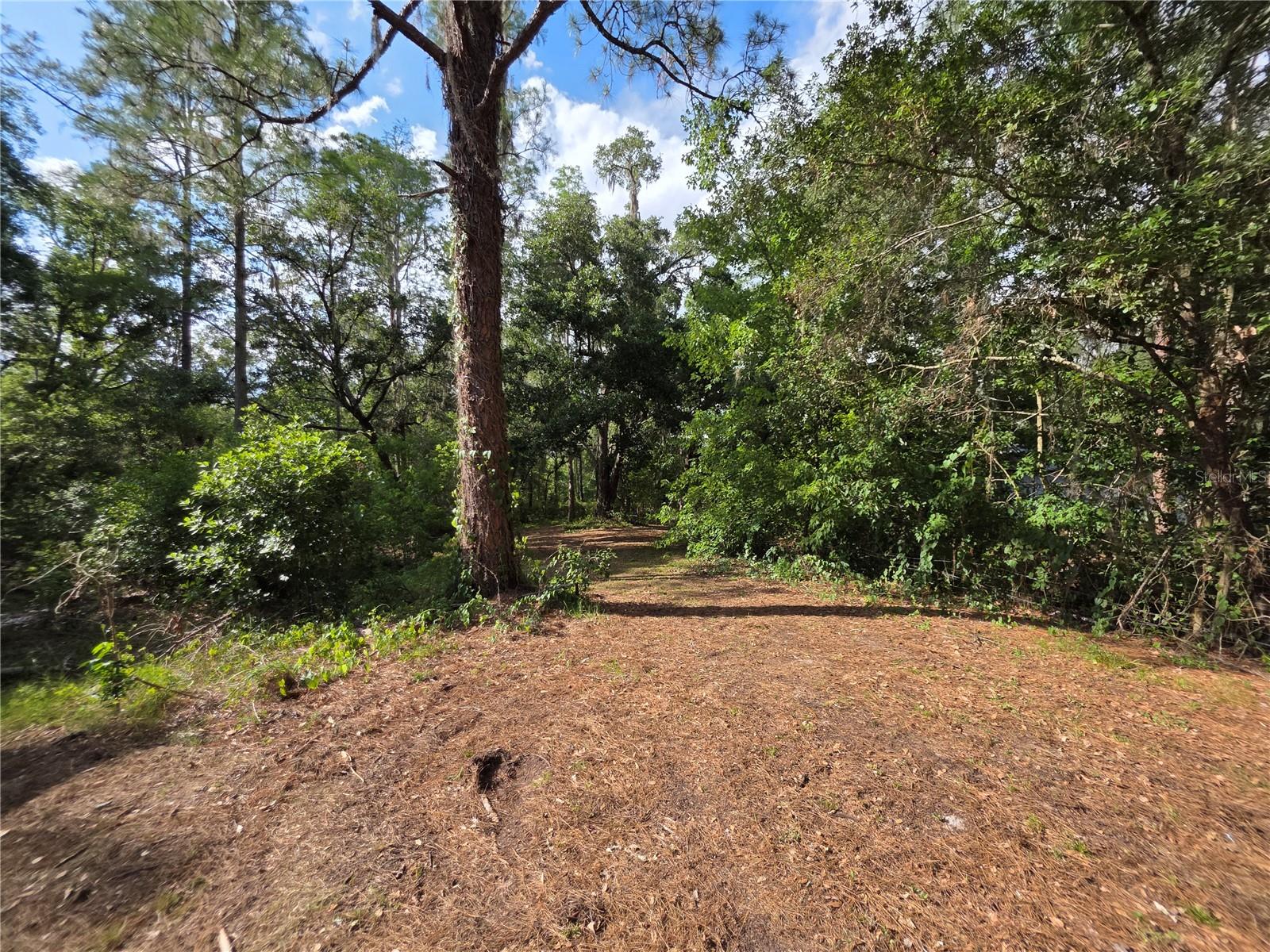 11344 ROCKRIDGE RD, LAKELAND, FL — photo 30