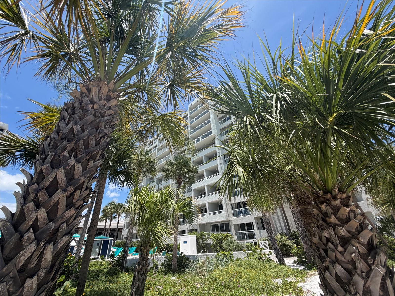 210 SANDS POINT RD #2402, LONGBOAT KEY, FL — photo 5