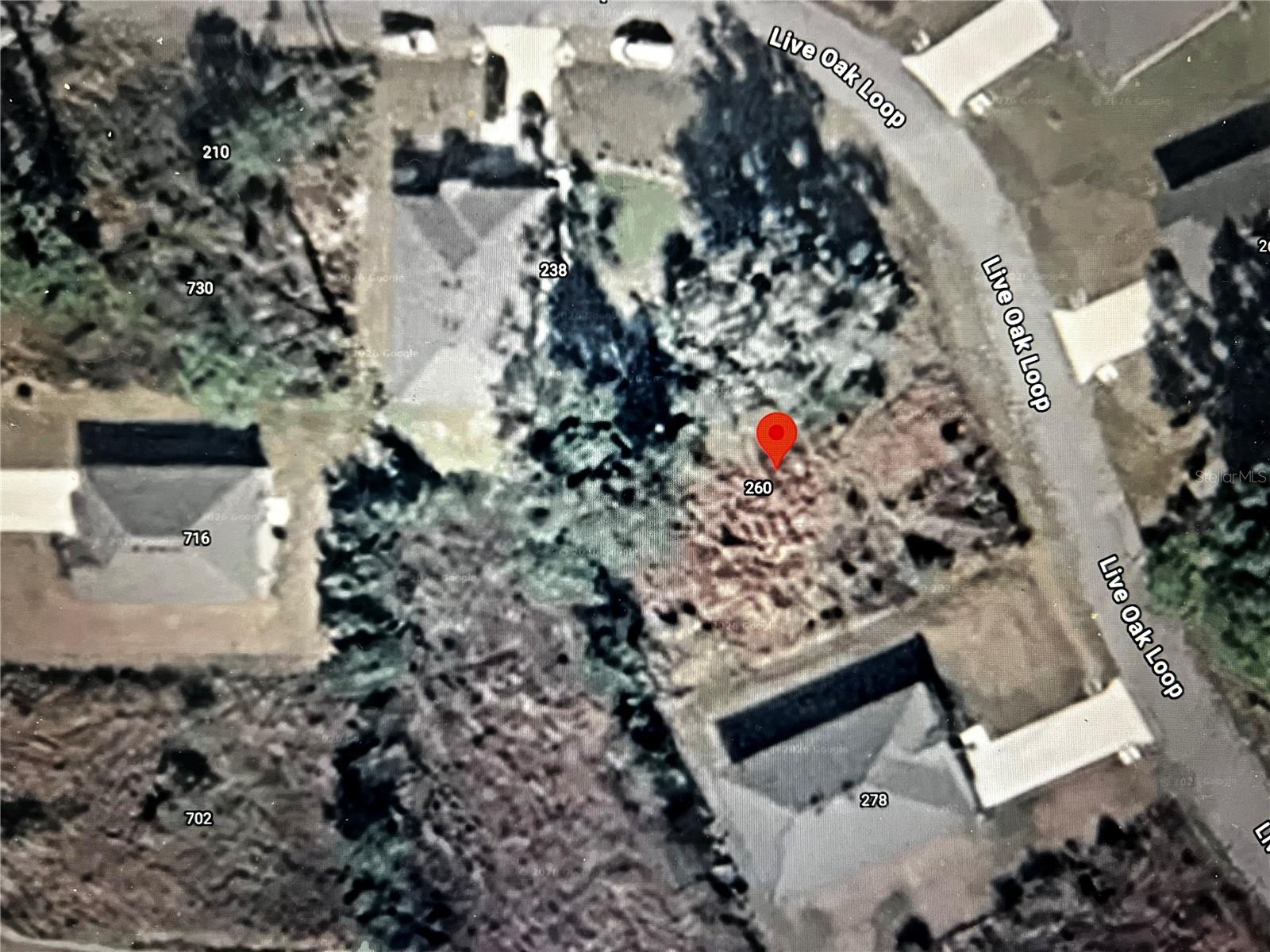 260 LIVE OAK LOOP, CRESCENT CITY, FL — photo 3